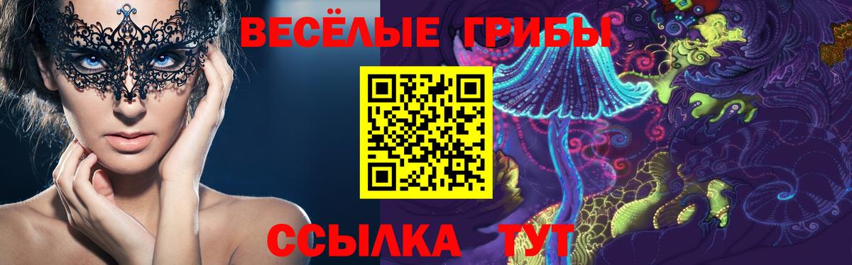 что такое наркотик  Вход с VPN  Ессентуки  Галлюциногенные грибы Cubensis 